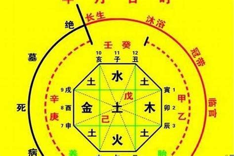 喜用神为金|八字入门基础 第六篇 如何判断八字喜用神